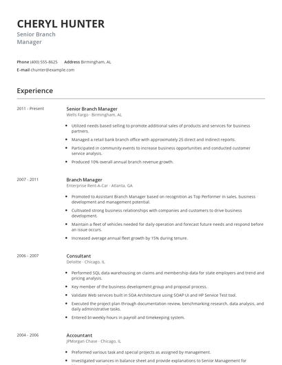 Senior Branch Manager Resume
