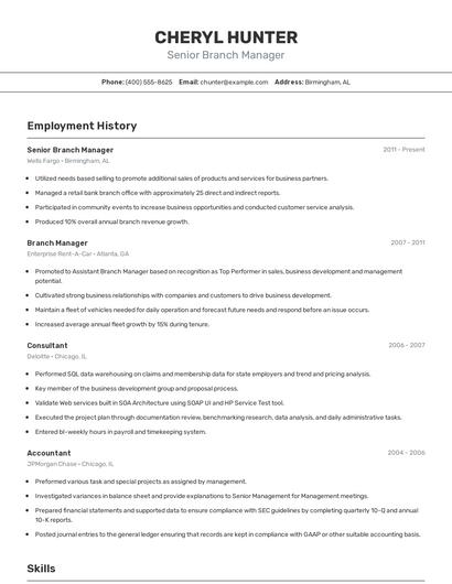 Senior Branch Manager Resume