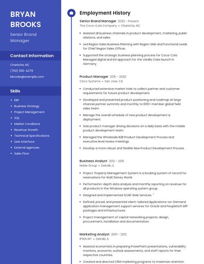Senior Brand Manager Resume