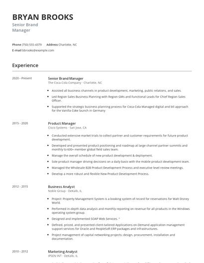 Senior Brand Manager Resume