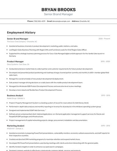 Senior Brand Manager Resume