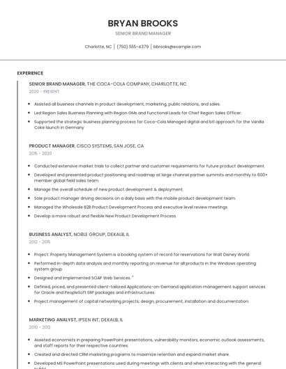Senior Brand Manager Resume