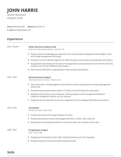 Senior Business Analyst Lead Resume