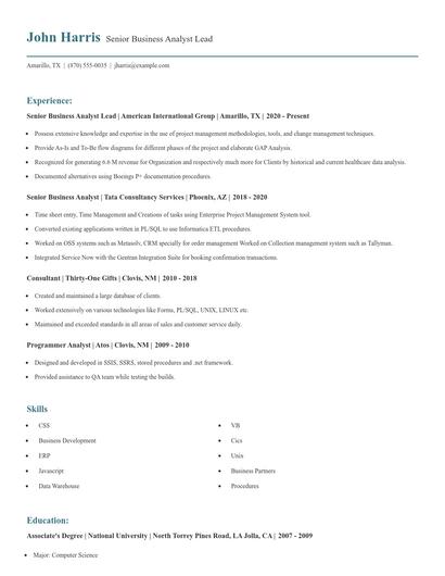 Senior Business Analyst Lead Resume