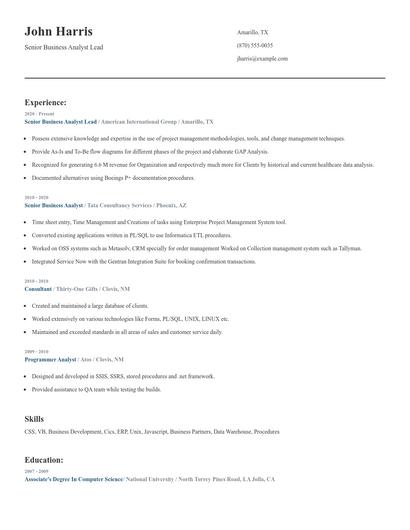 Senior Business Analyst Lead Resume