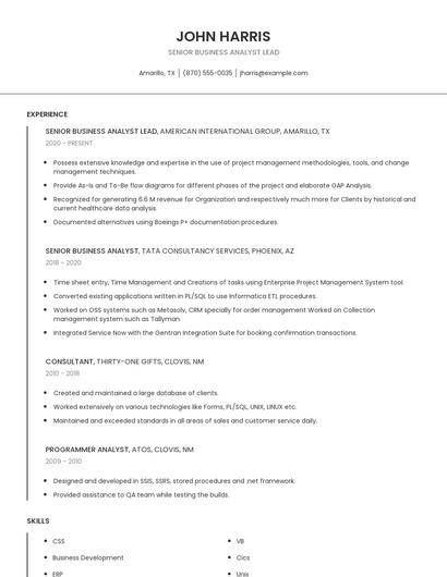 Senior Business Analyst Lead Resume