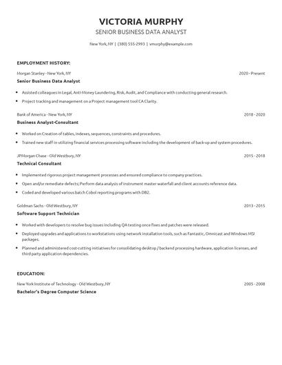 Senior Business Data Analyst Resume