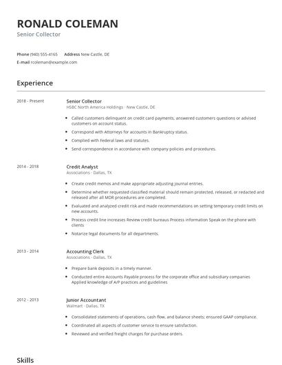 Senior Collector Resume