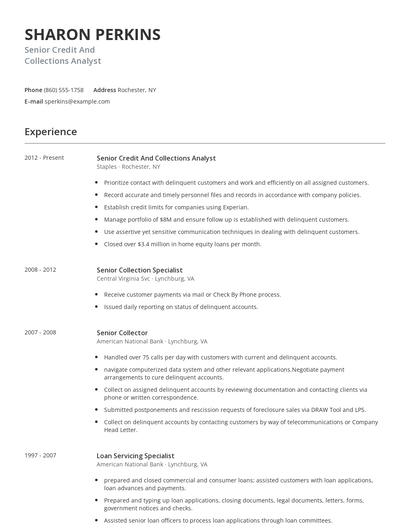 Senior Credit And Collections Analyst Resume