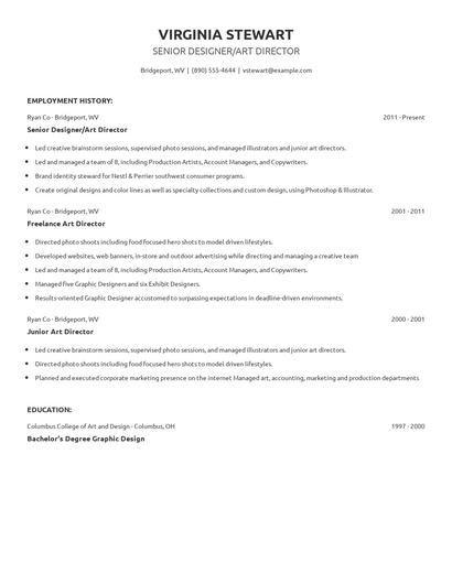 Senior Designer/Art Director Resume