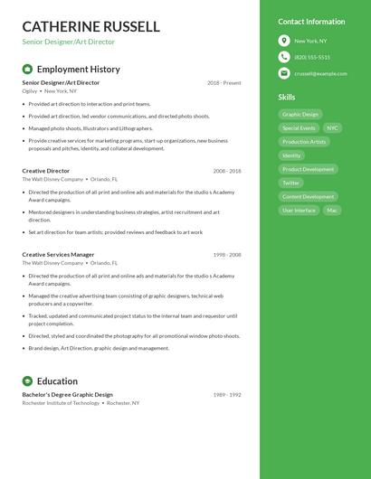 Senior Designer/Art Director Resume