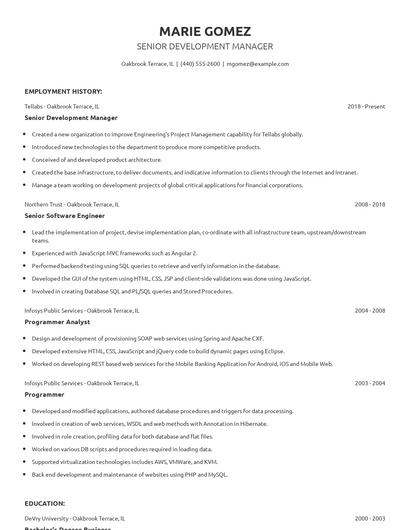 Senior Development Manager Resume