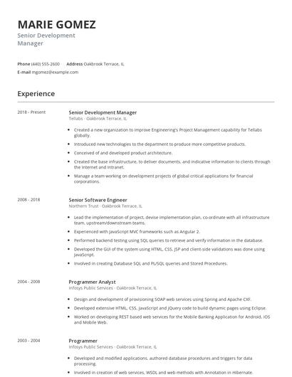 Senior Development Manager Resume