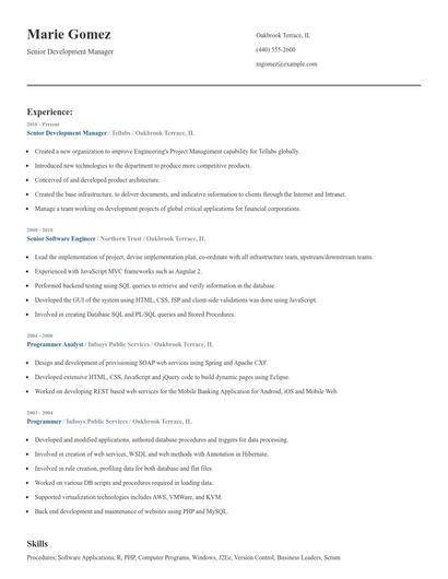 Senior Development Manager Resume