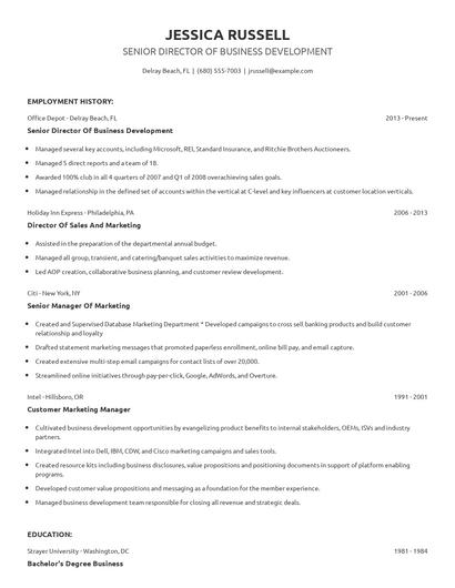 Senior Director Of Business Development Resume