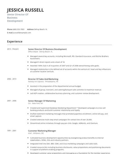 Senior Director Of Business Development Resume