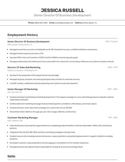 Senior Director Of Business Development Resume
