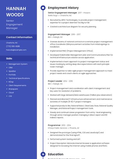 Senior Engagement Manager Resume