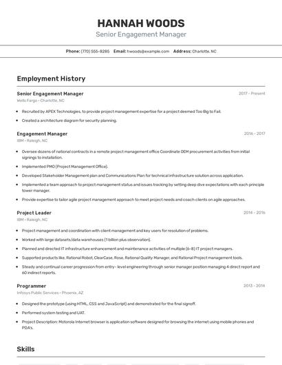 Senior Engagement Manager Resume