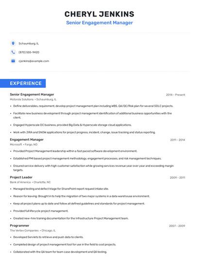 Senior Engagement Manager Resume