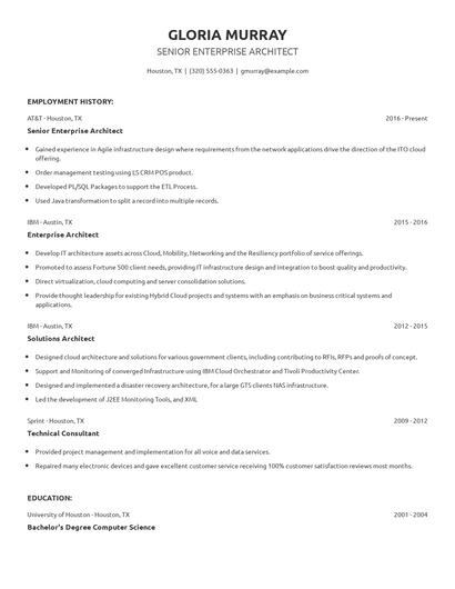 Senior Enterprise Architect Resume