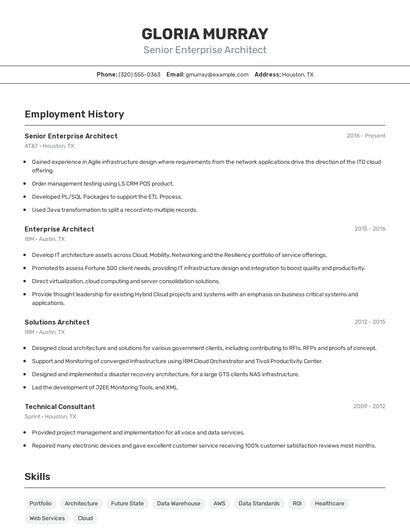 Senior Enterprise Architect Resume