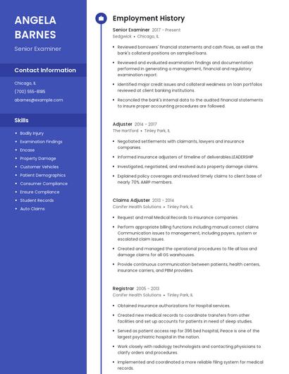 Senior Examiner Resume