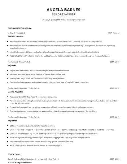 Senior Examiner Resume