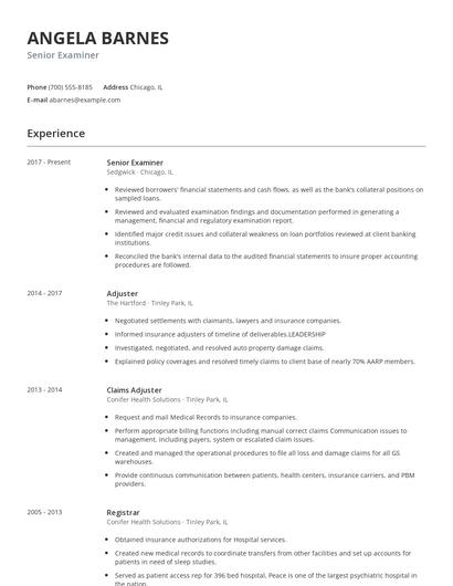 Senior Examiner Resume