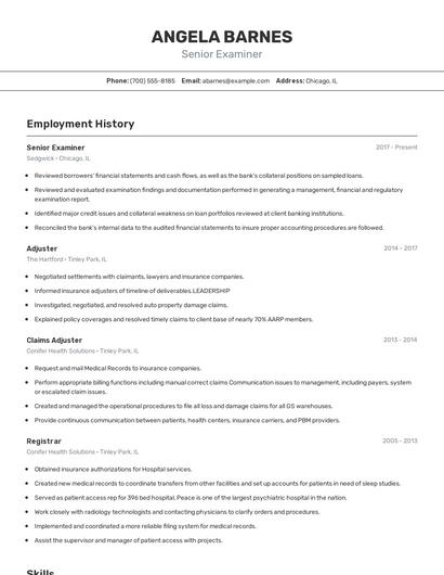 Senior Examiner Resume