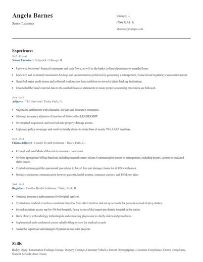 Senior Examiner Resume