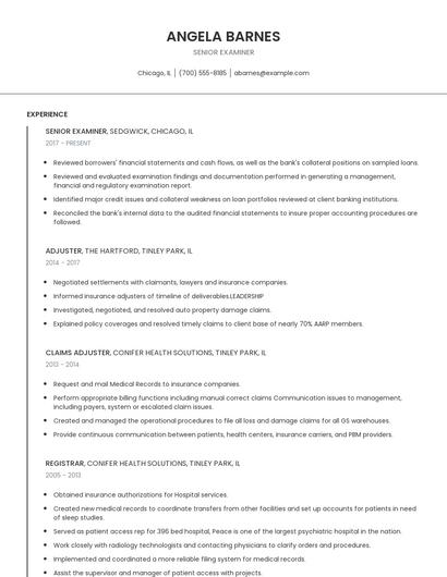 Senior Examiner Resume