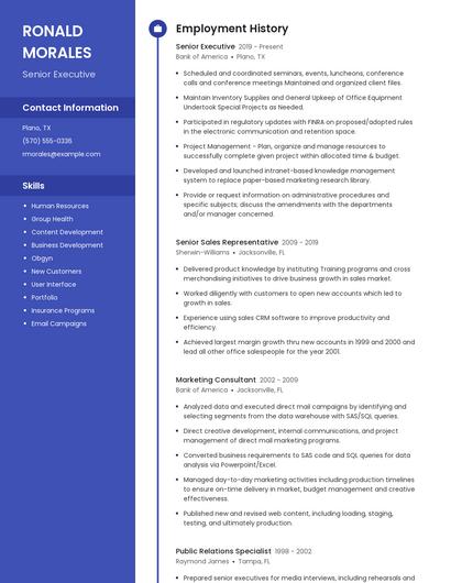 Senior Executive Resume