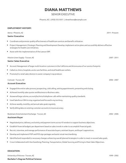 Senior Executive Resume