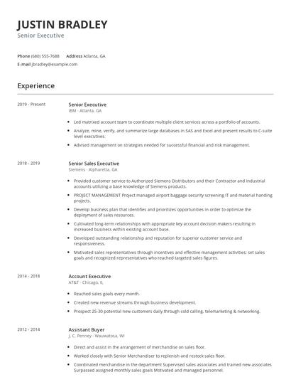 Senior Executive Resume