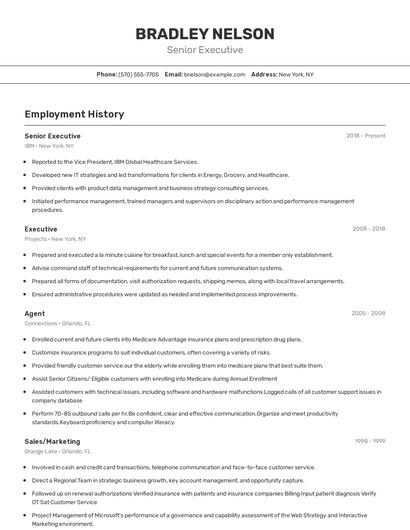 Senior Executive Resume