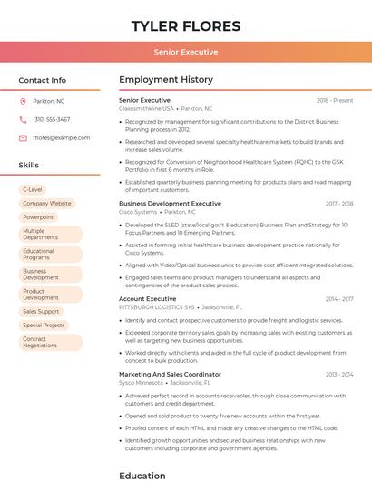 Senior Executive Resume