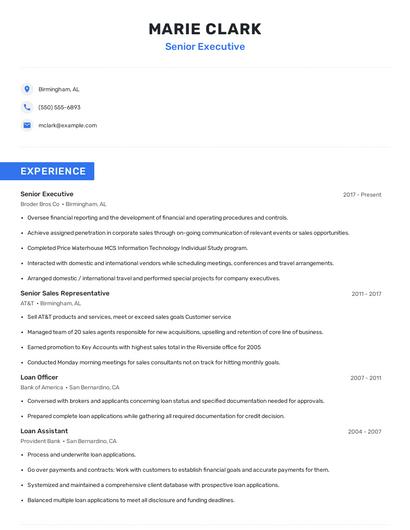Senior Executive Resume