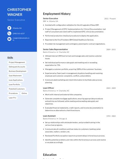 Senior Executive Resume