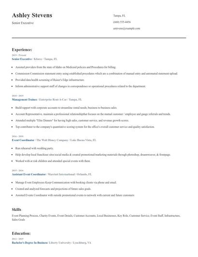 Senior Executive Resume