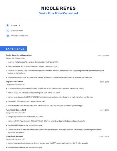 Senior Functional Consultant Resume