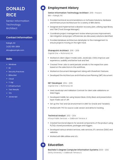 Senior Information Technology Architect Resume