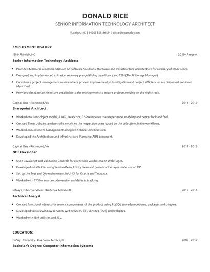 Senior Information Technology Architect Resume