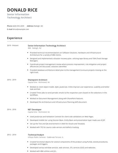 Senior Information Technology Architect Resume
