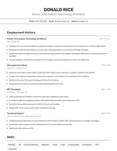 Senior Information Technology Architect Resume