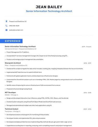 Senior Information Technology Architect Resume