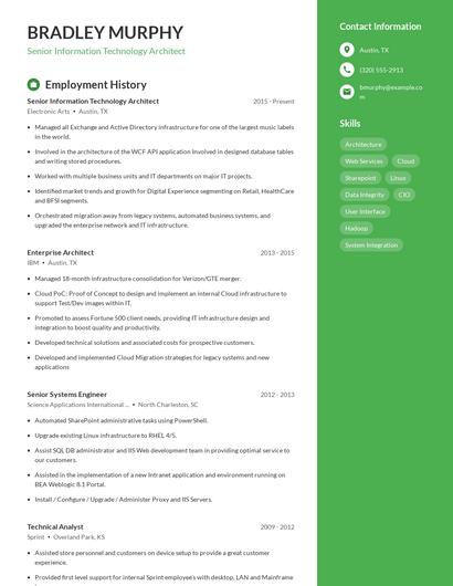 Senior Information Technology Architect Resume