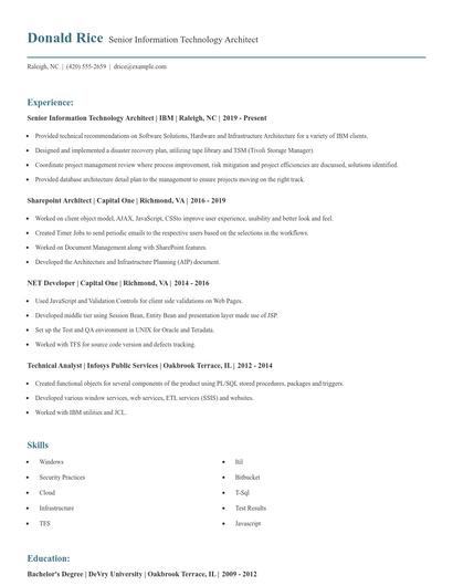 Senior Information Technology Architect Resume