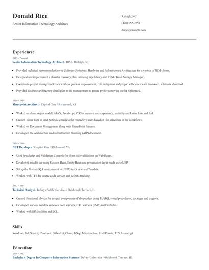 Senior Information Technology Architect Resume