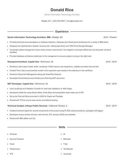 Senior Information Technology Architect Resume